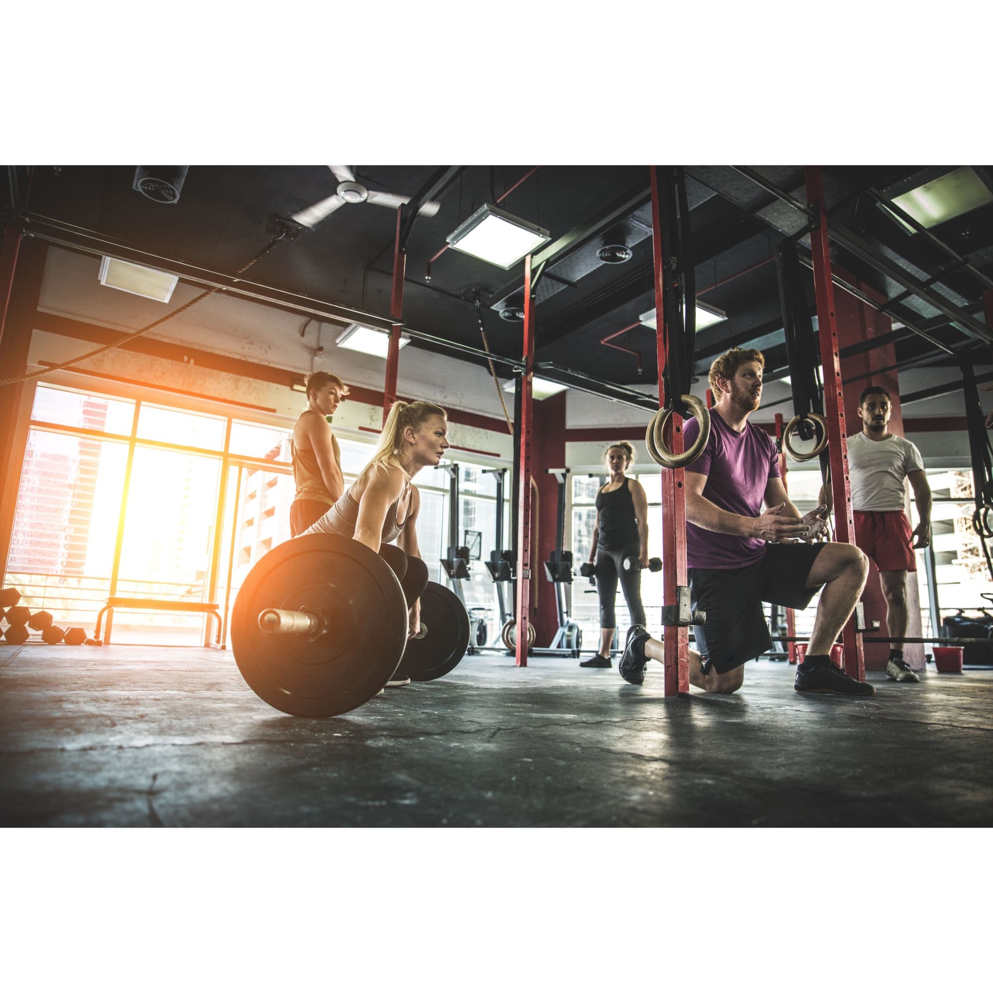 AbilityX training